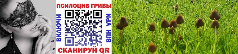 даркнет сайт  Кызыл  Псилоцибиновые грибы прущие грибы 