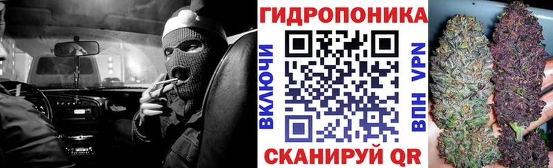 Каннабис сатива  купить  цена  Кызыл 